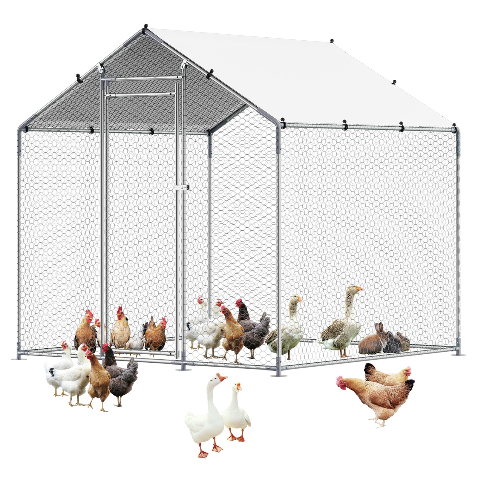 Metal Chicken Coop 6.56x6.56x6.56ft Walk-in Chicken Run With Cover Spire Roof_maomaolike.com